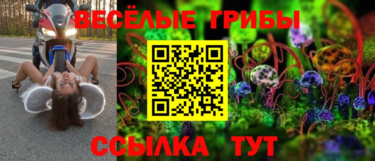 Псилоцибиновые грибы Magic Shrooms  Галлюциногенные грибы мицелий  Мирный  Вход с VPN 