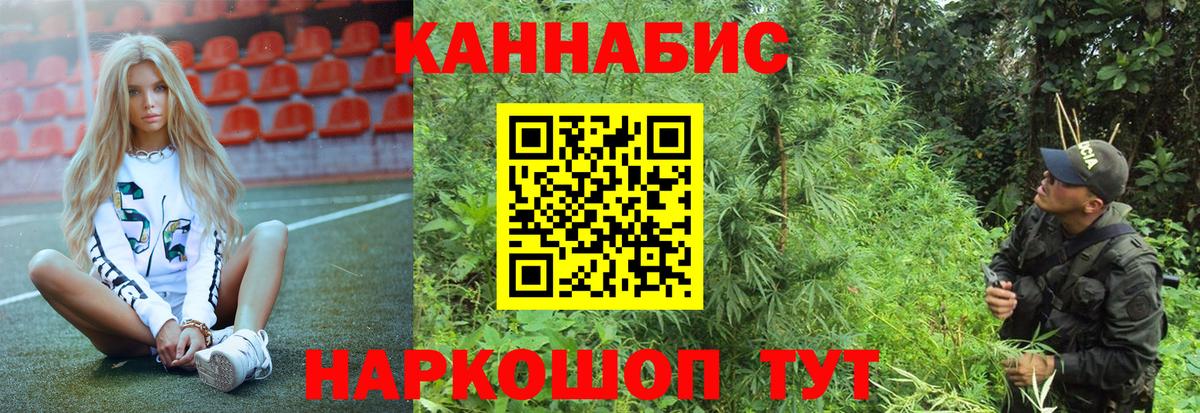 Шишки марихуана OG Kush Мирный